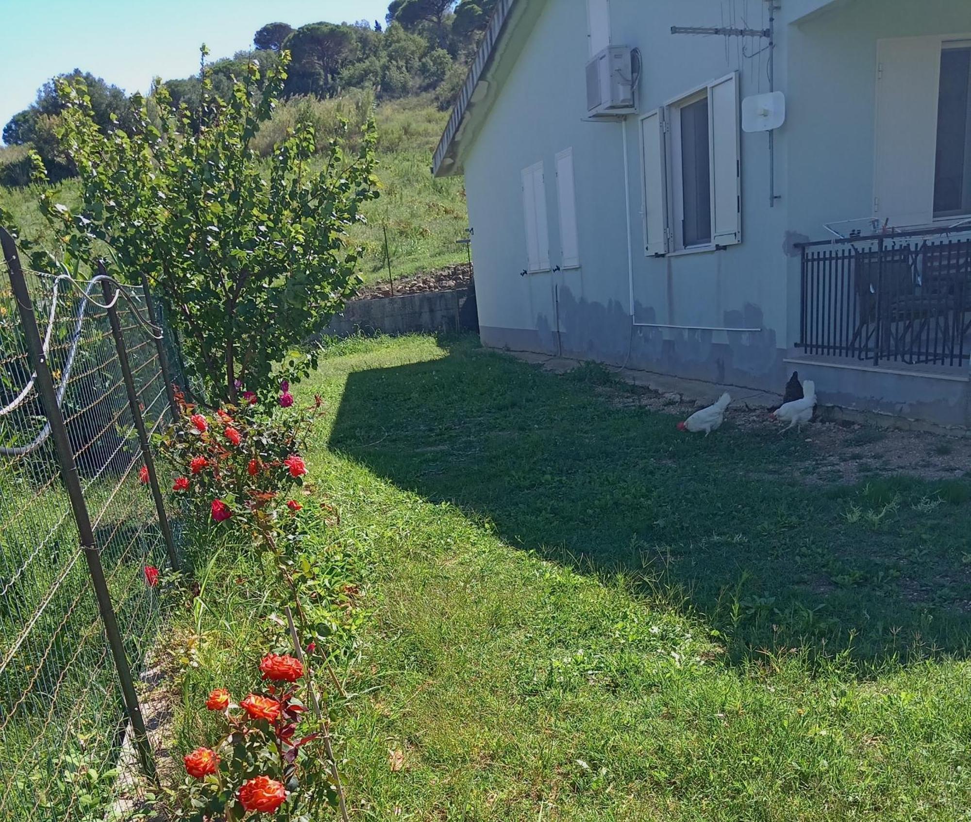 Villetta San Giovanni Калатафими Экстерьер фото